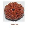 six mukhi general