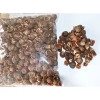 Organic Soap Nut