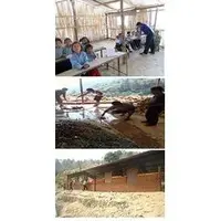 school building