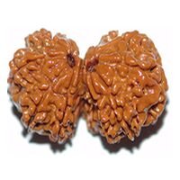 Gaurishankar Rudraksha