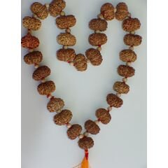 ten mukhi rosary