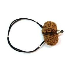 Rudraksha Rubber Hair Band