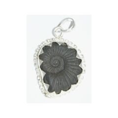 Sudarsan Chakra shaligram Pendant