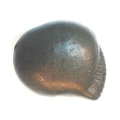 Shree Rama Shaligram