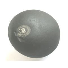 Shree Krishna Shaligram
