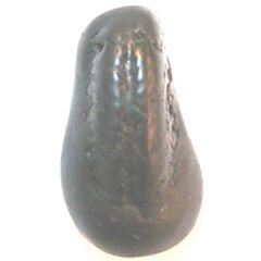 Shree Kalki Shaligram