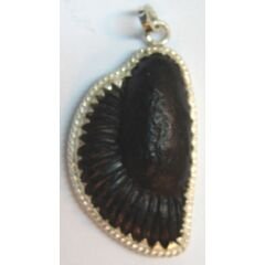 Shree Lakshmi Ganesh Shaligram Pendant