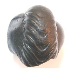 Shree Narshima Shaligram