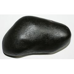Shree Matsya Shaligram