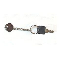 Luck Key Chain