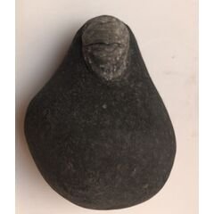 Shree kailashmanosarovar Shivanetra Shaligram