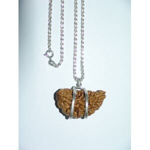 one mukhi rudraksha silver pendant