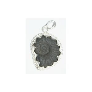 Sudarsan Chakra shaligram Pendant