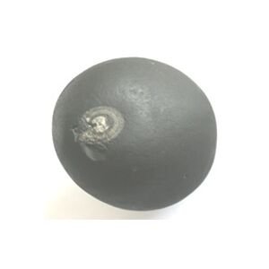 Shree Krishna Shaligram