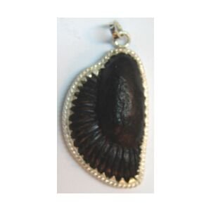 Shree Lakshmi Ganesh Shaligram Pendant
