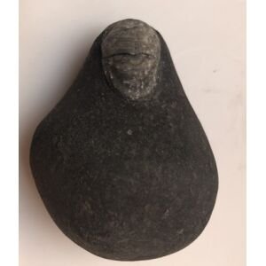 Shree kailashmanosarovar Shivanetra Shaligram