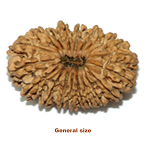 General sizde 19 mukhi