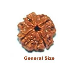 General size 4 muhki