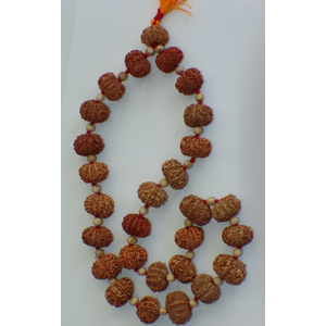 ight mukhi rudraksha mala