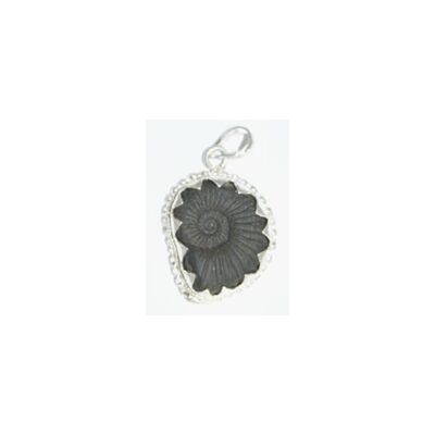 Sudarsan Chakra shaligram Pendant