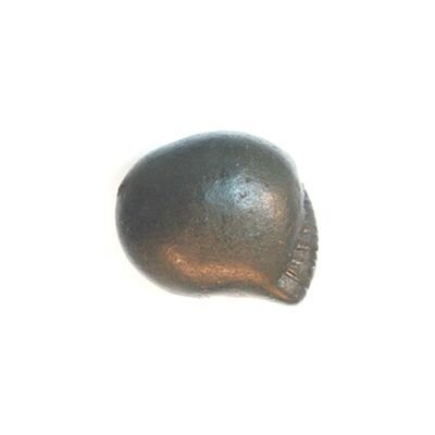 Shree Rama Shaligram