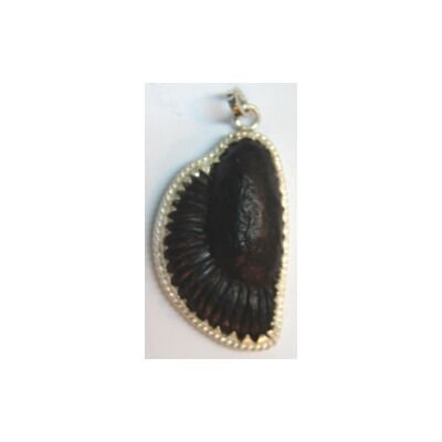 Shree Lakshmi Ganesh Shaligram Pendant
