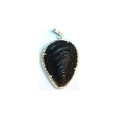Shree Mahamritunjaya Shaligram Pendant