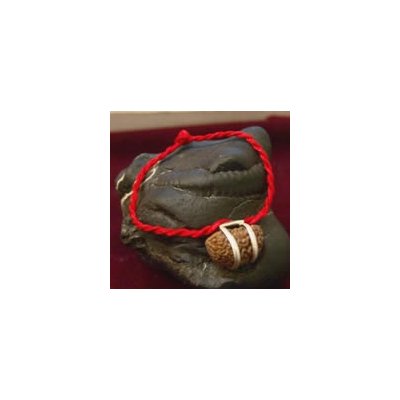 One Mukhi Bracelet