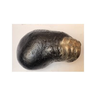 Shree Adhbut Golden Narshima Pralhad Shaligram